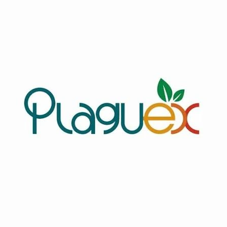 Plaguex